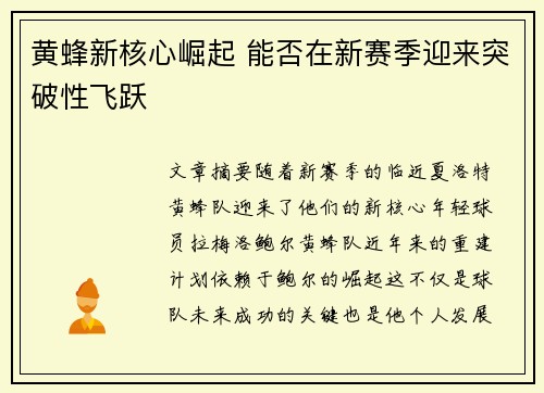 黄蜂新核心崛起 能否在新赛季迎来突破性飞跃